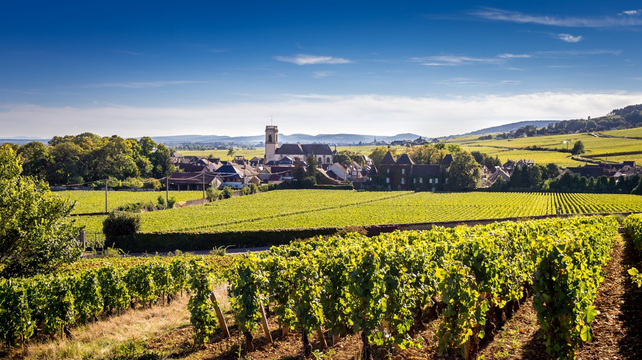Burgundy Wine Driving Tour - 5 Days - European Driving Holiday