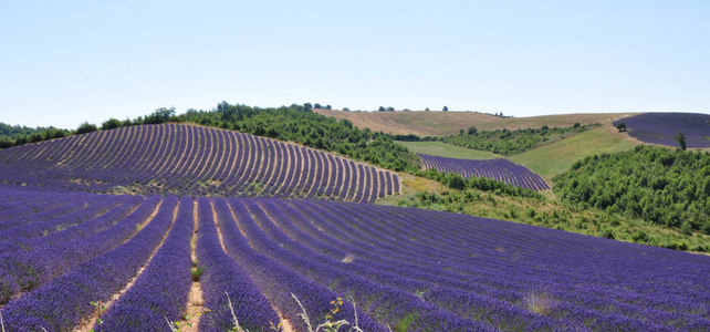 Alps Maritimes & Monte Carlo - 5 Nights - European Driving Holiday