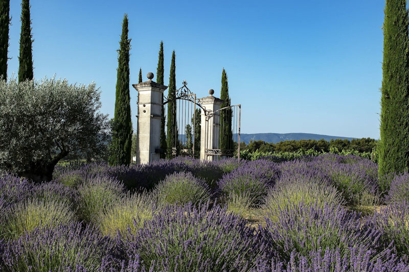 South of France Driving Holiday - La Coquillade Entrance