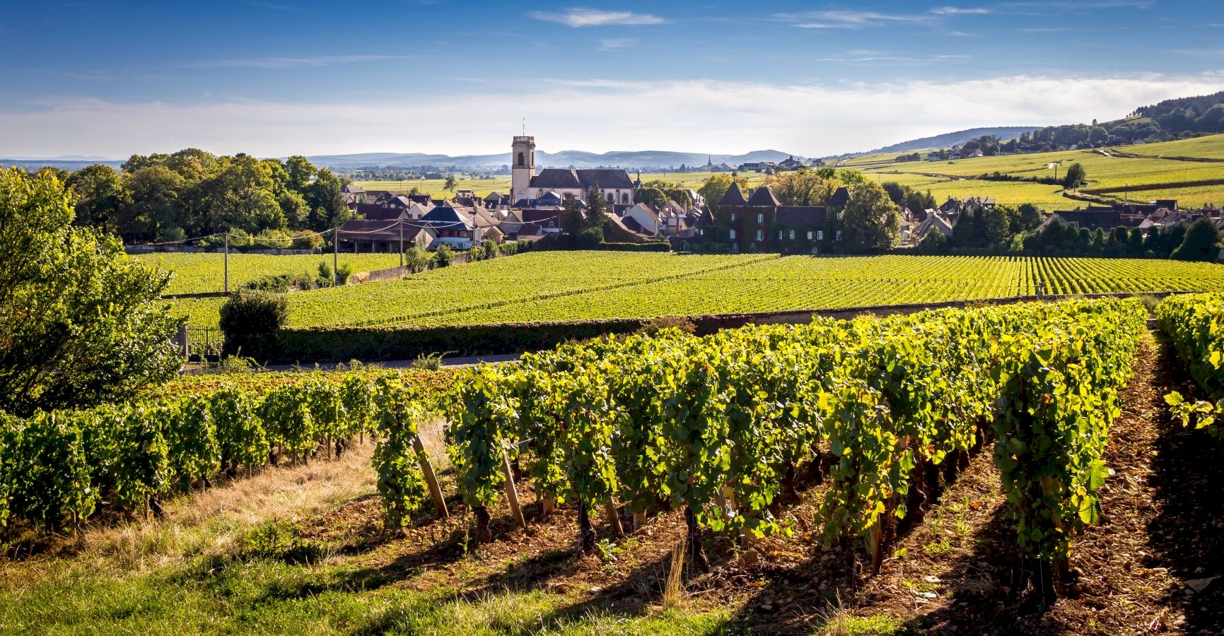 French Wine Driving Tour Burgundy - La Cote de Beaune