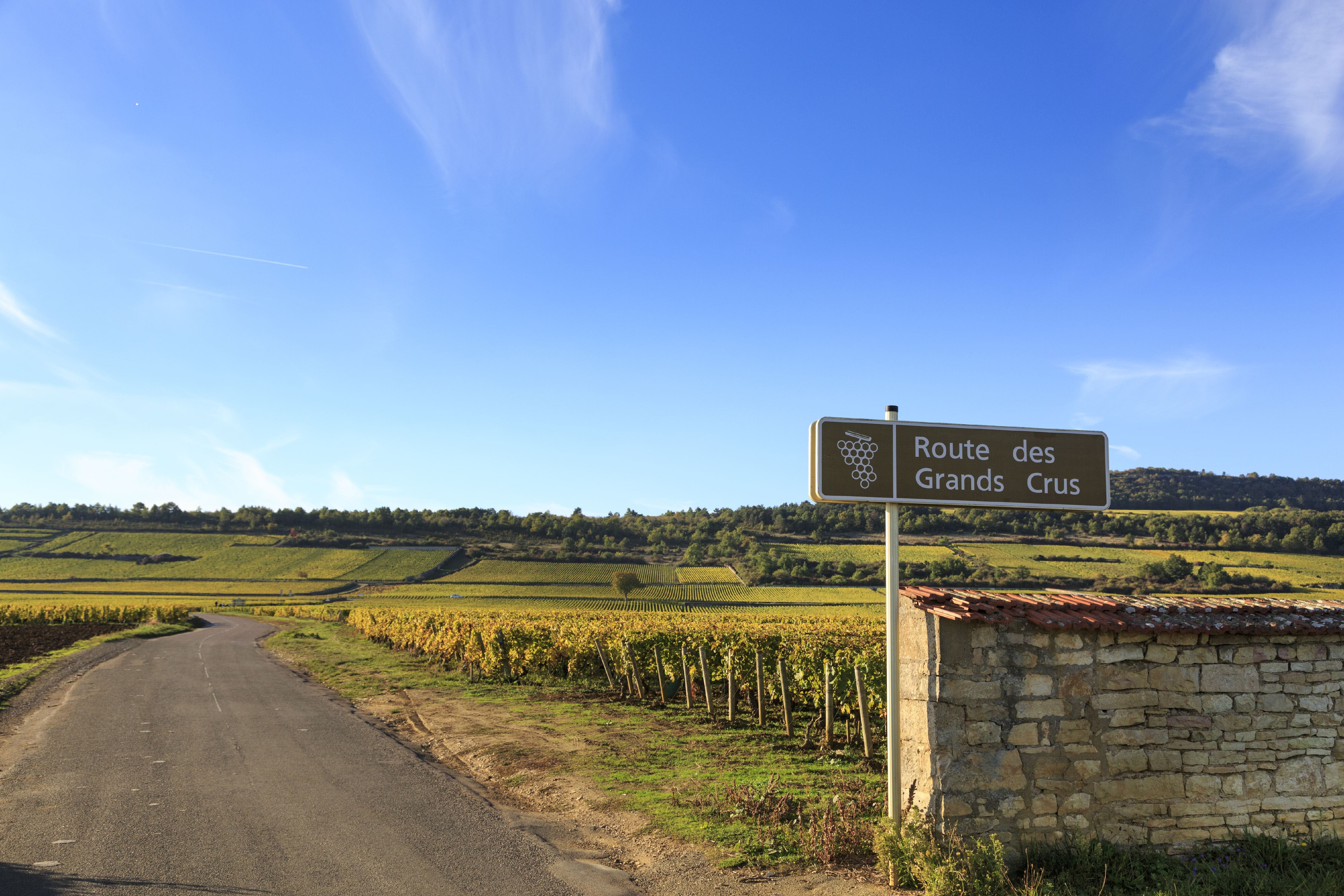 French Wine Driving Tour - Route des Grands Crus