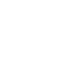 Custom Tours
