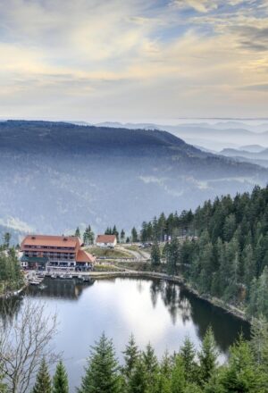 Black Forest & Swiss Lakes
