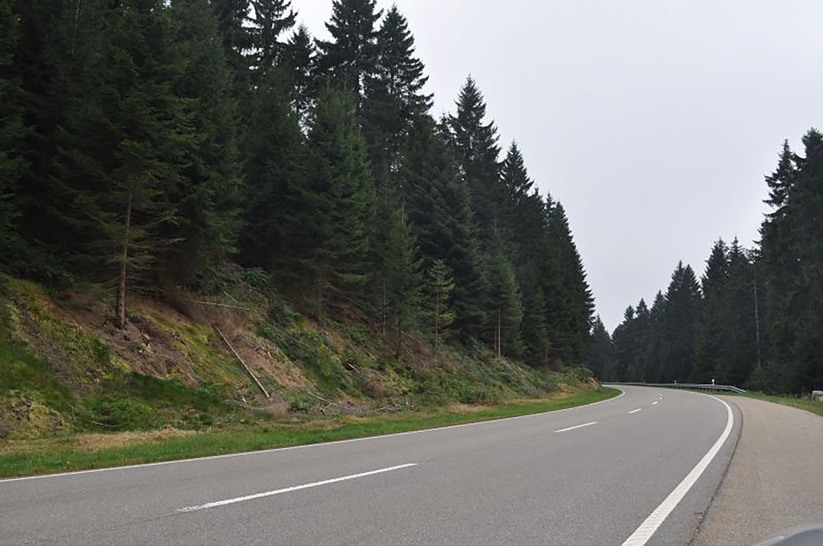 Views driving along the Schwarzwaldhochstrasse