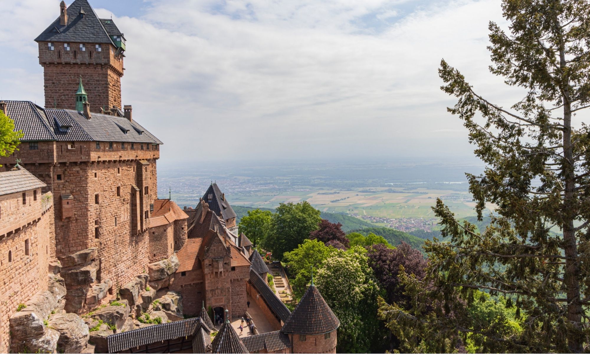 Black Forest & Alsace